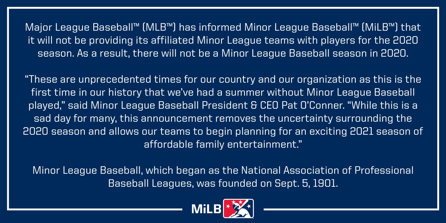 2020 Minor League Baseball season shelved