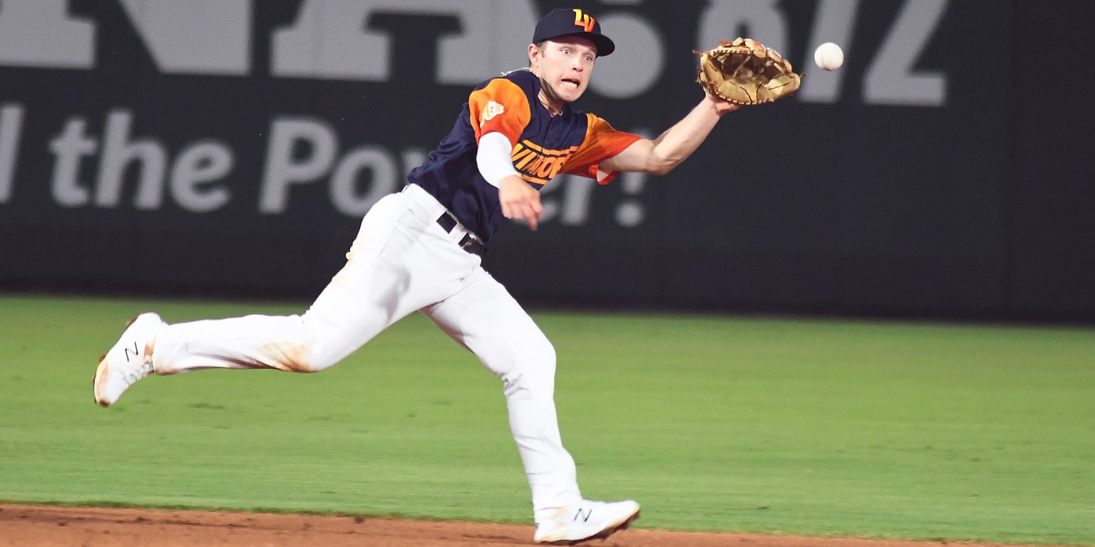 Bark in the Park  Las Vegas Aviators