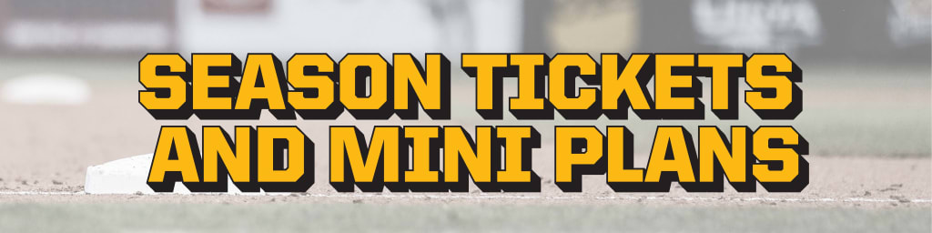 Salt Lake Bees Ticket Packages | Bees