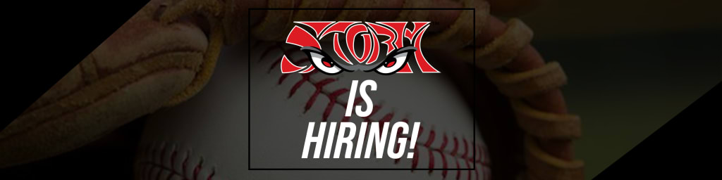 Lake Elsinore Storm Job Opportunities | Storm