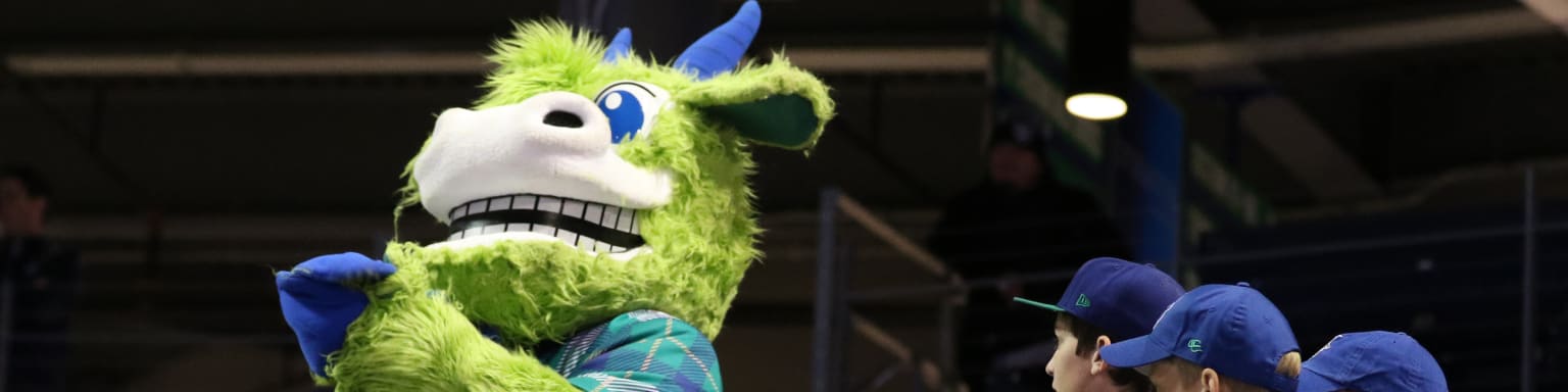 Donations & Mascot Appearances | Yard Goats