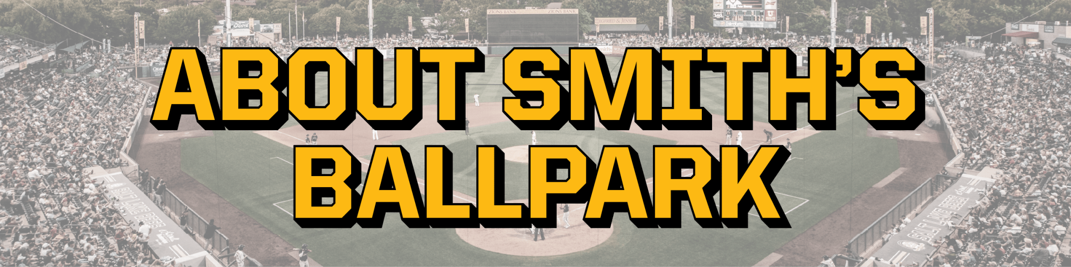 Smith's Ballpark Facts Bees