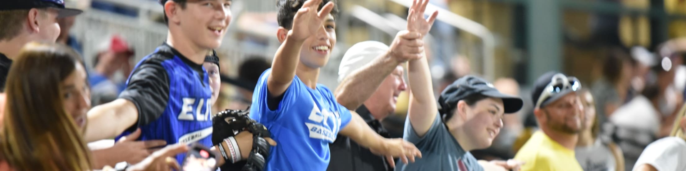 Charleston RiverDogs Tickets RiverDogs