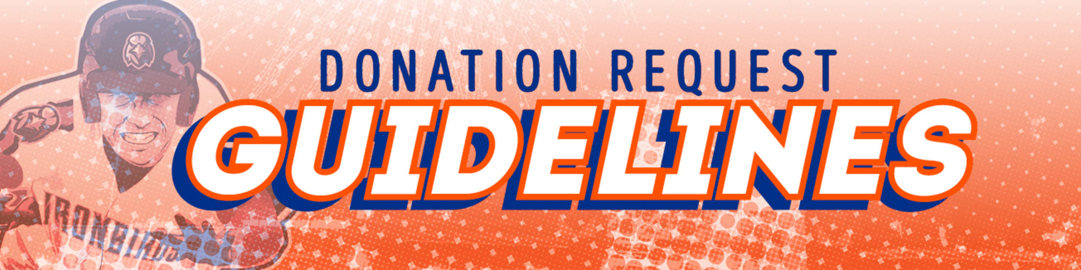 IronBirds Donation Request Guidelines IronBirds