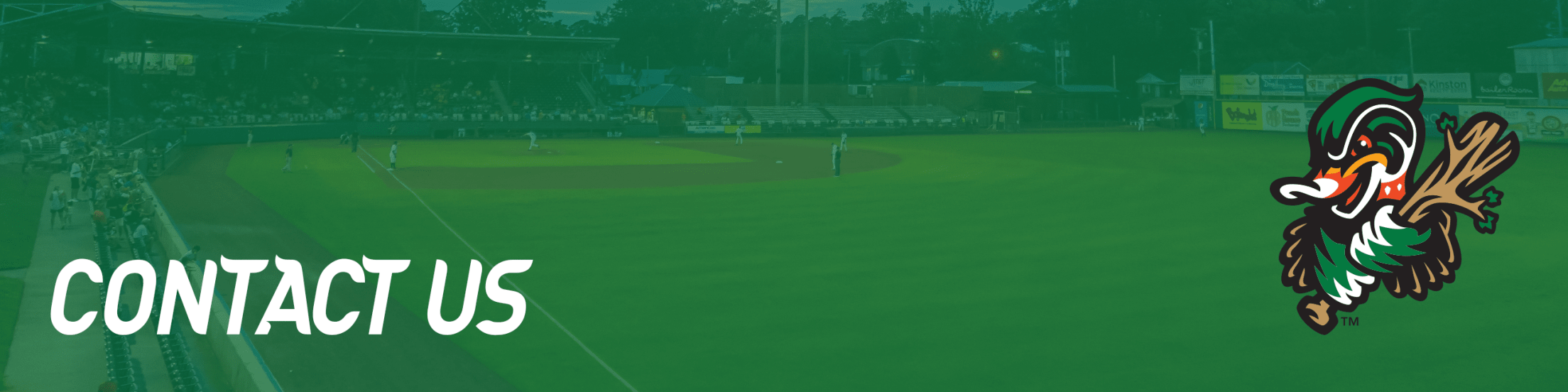 Contact Us Wood Ducks