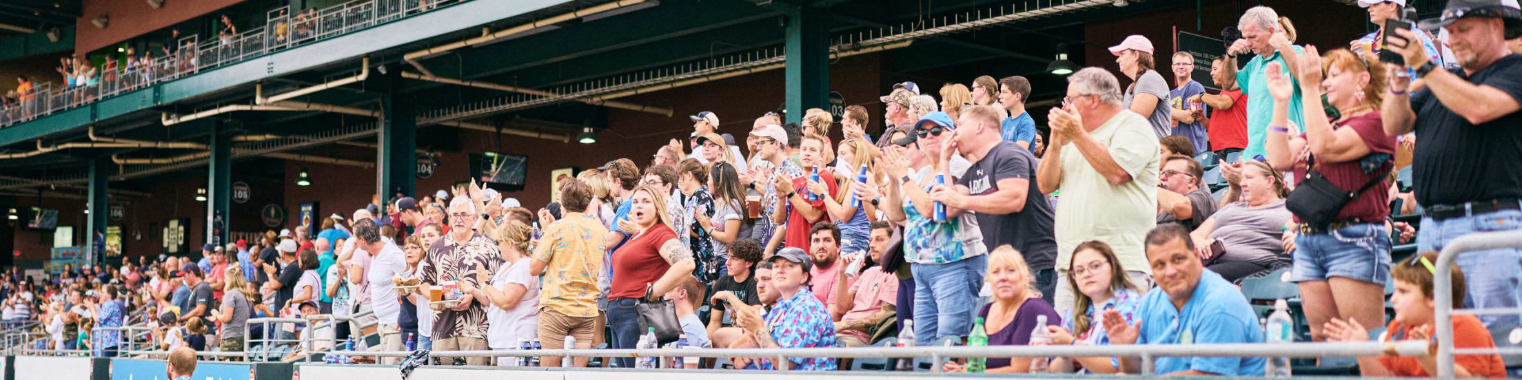 Fans Code of Conduct Jumbo Shrimp