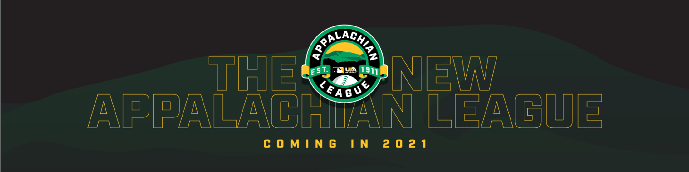 New Vision for the Appalachian League