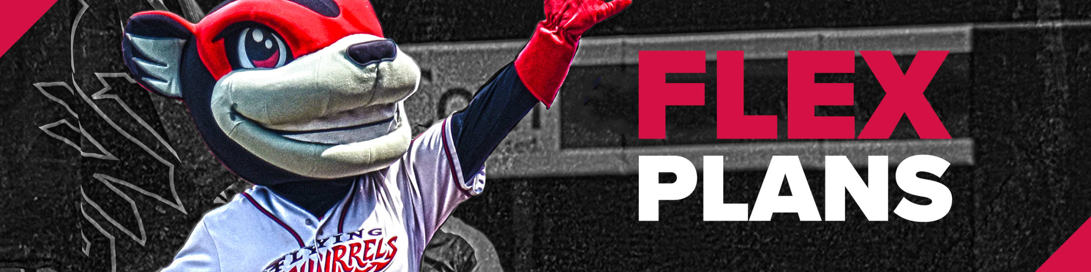 flex-plans-great-8-gold-books-flying-squirrels