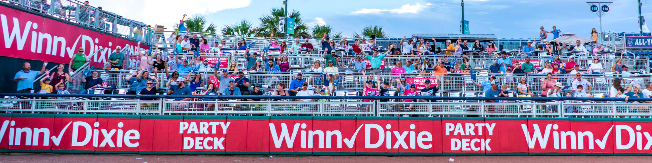 Party Decks Blue Wahoos