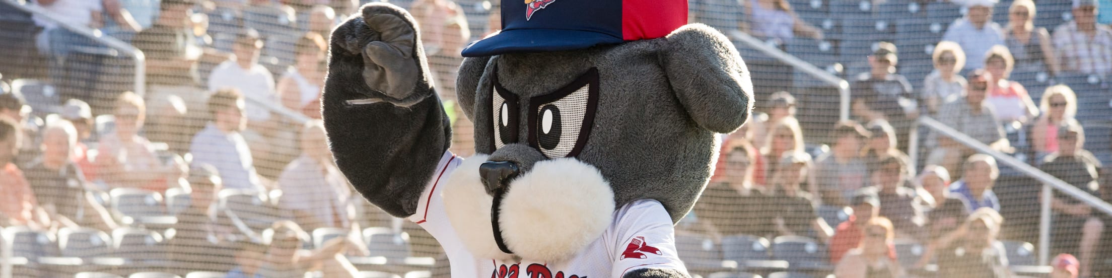 Sea Dogs Mascots Slugger the Sea Dog | Sea Dogs