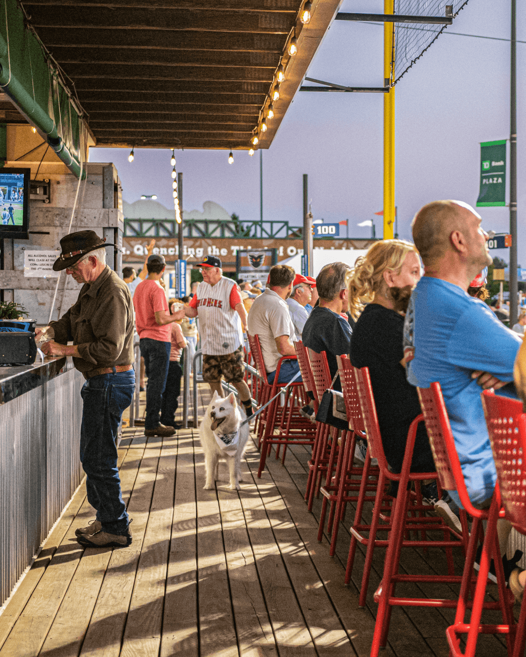 Group Tickets Premium Seating Options IronPigs