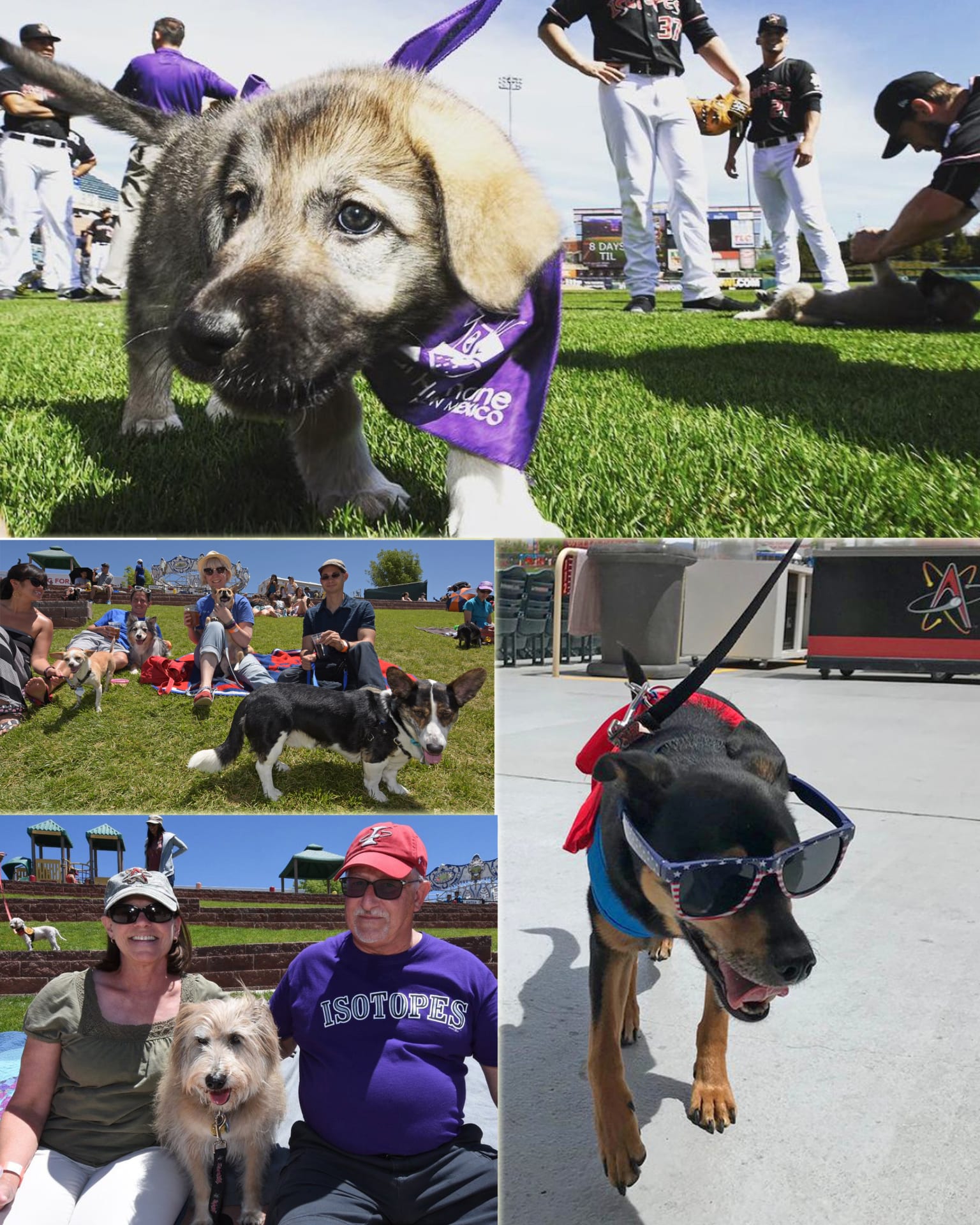 Bark in the Park Isotopes