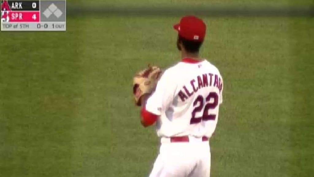 File:Sandy Alcantara of the Springfield Cardinals (23702823128