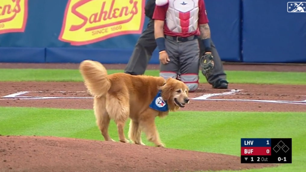 Omaha wins the PCL Championship in improbable run - Minor League Ball