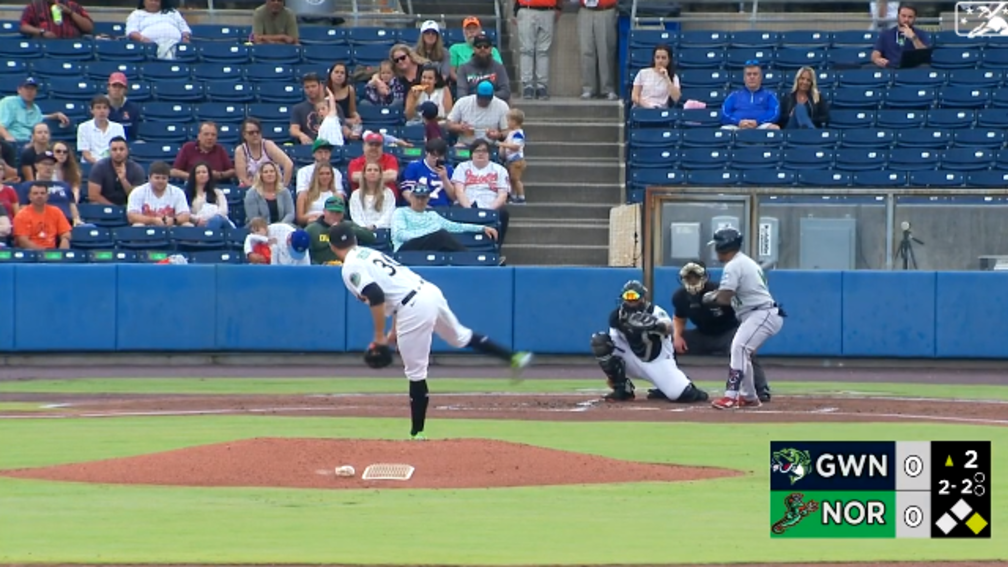 Tampa Bay Rays affiliate Charleston RiverDogs displays Rainbows Pride