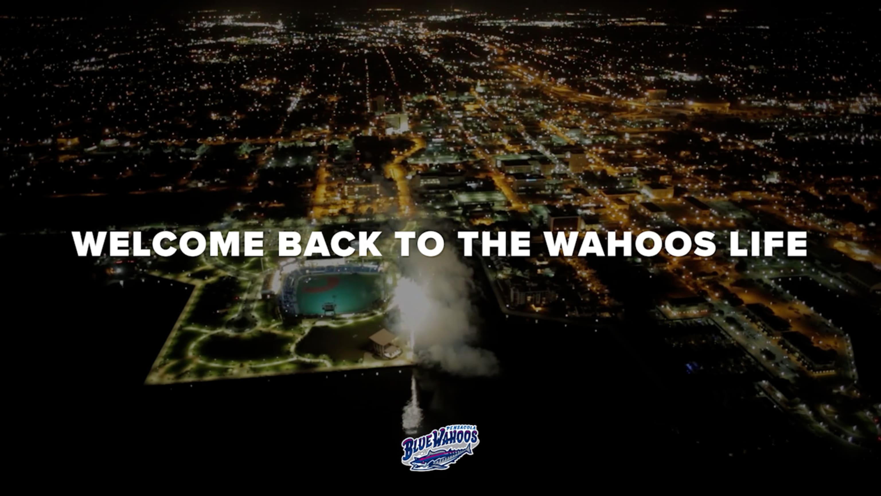 They're back! A shipment of - Pensacola Blue Wahoos