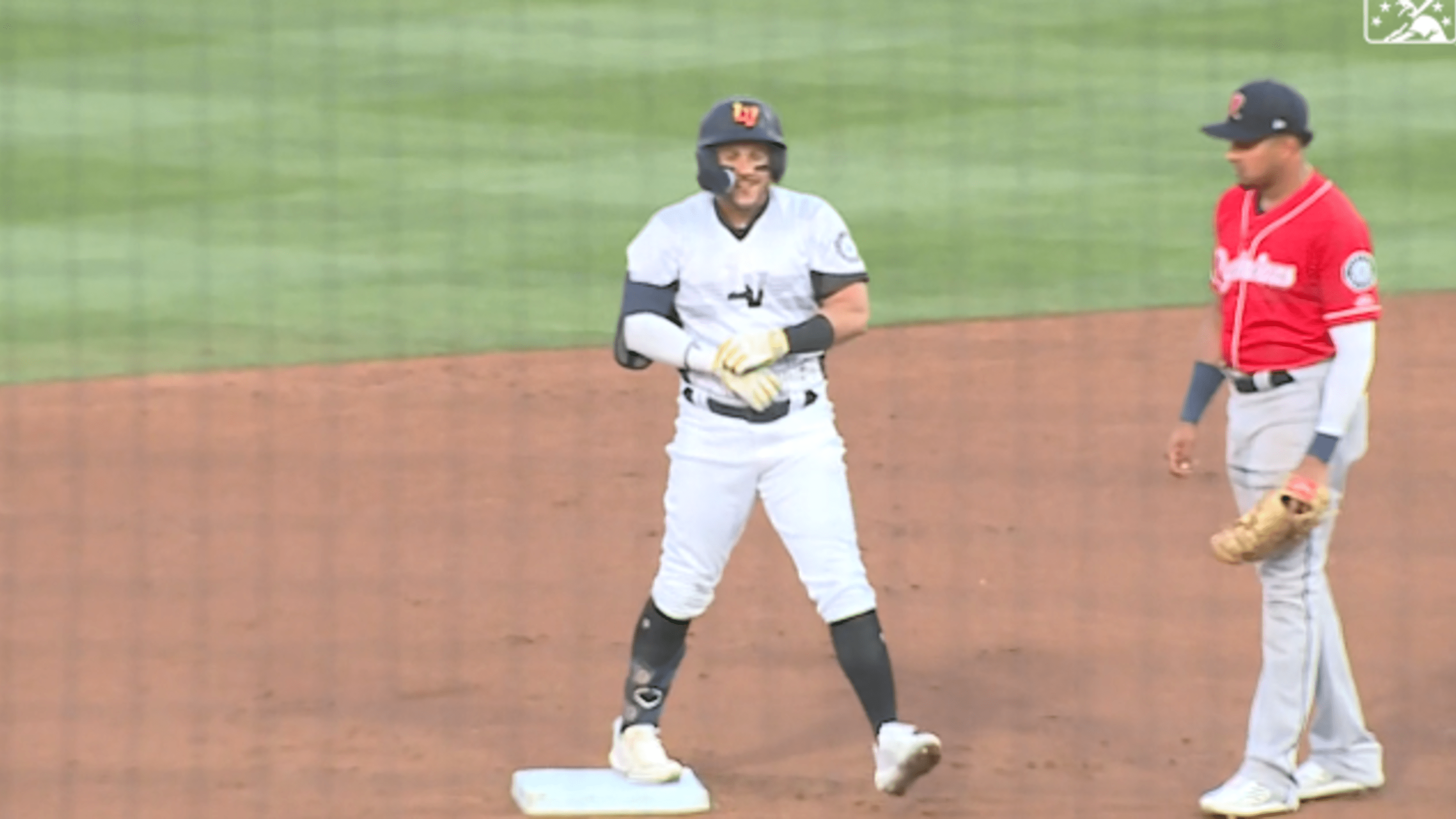 River Cats Claw To Victory Over Bees