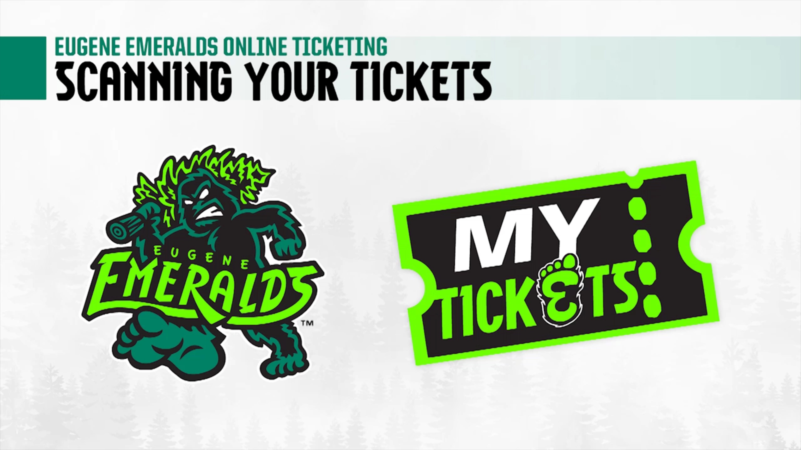 Scanning Your Tickets