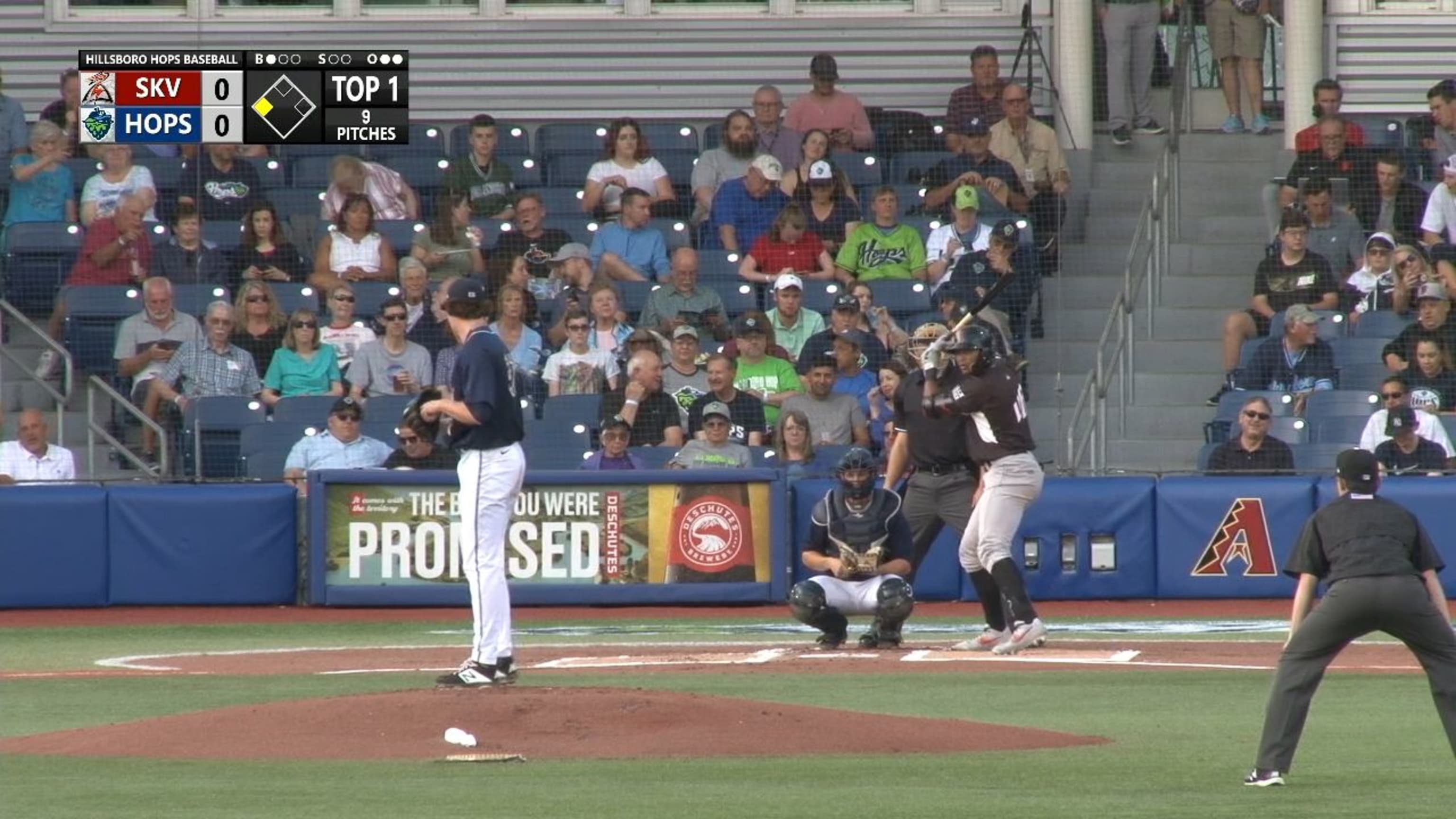 Fans pack Ron Tonkin Field for Hillsboro Hops 2019 home opener