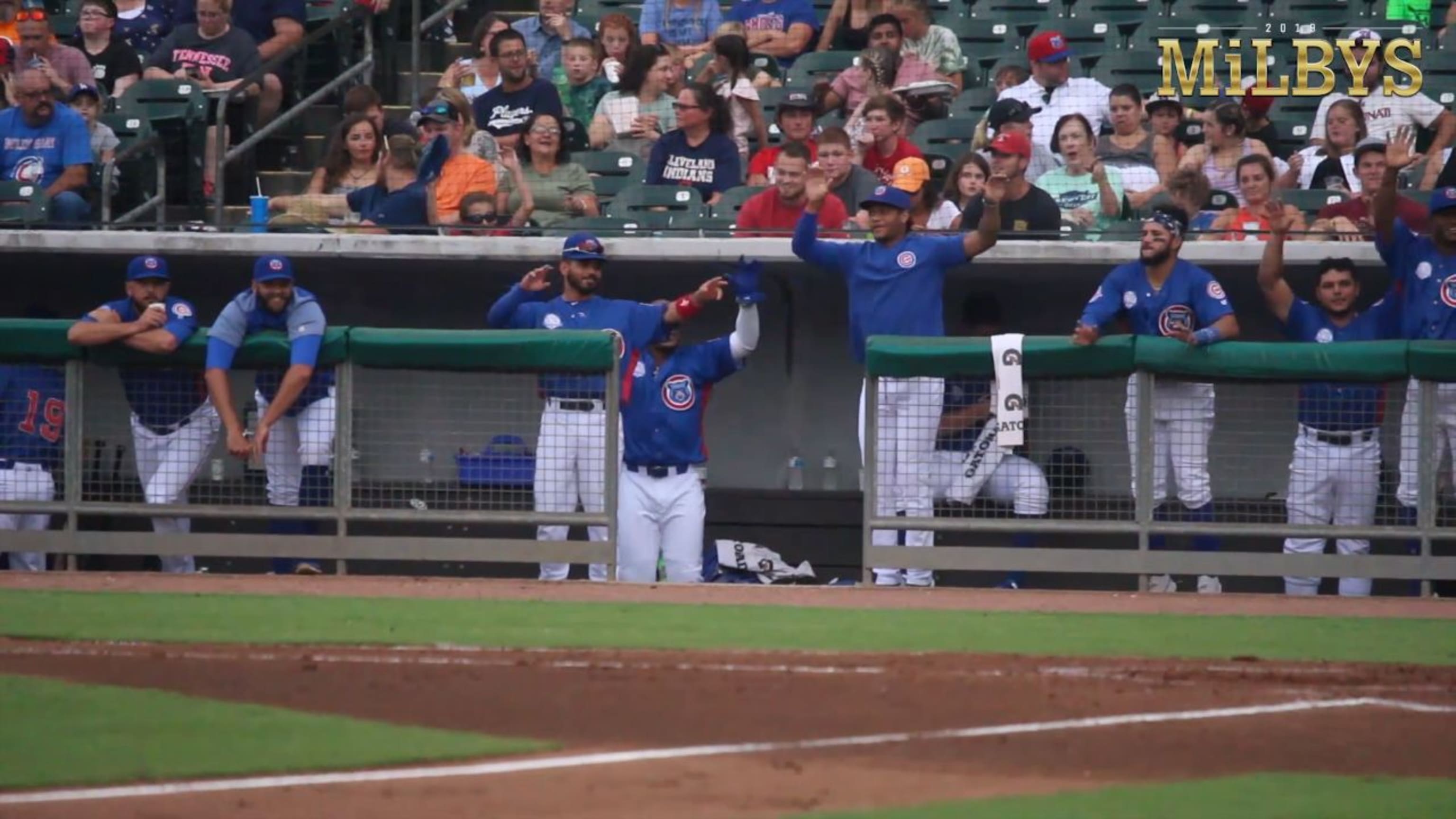 Plumbing company gets naming rights to Cubs Park