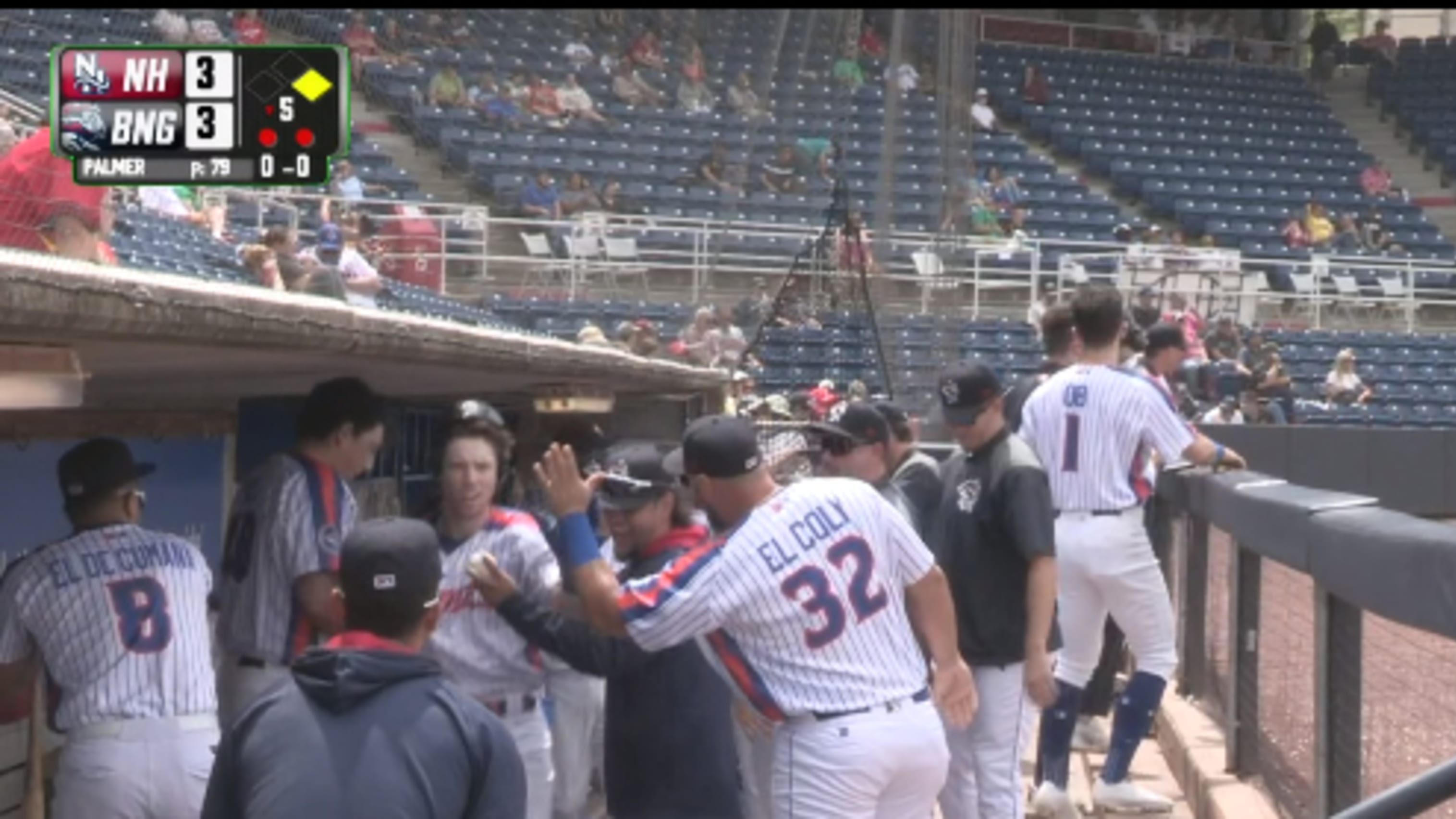 Binghamton Rumble Ponies Schedule 2025 Results