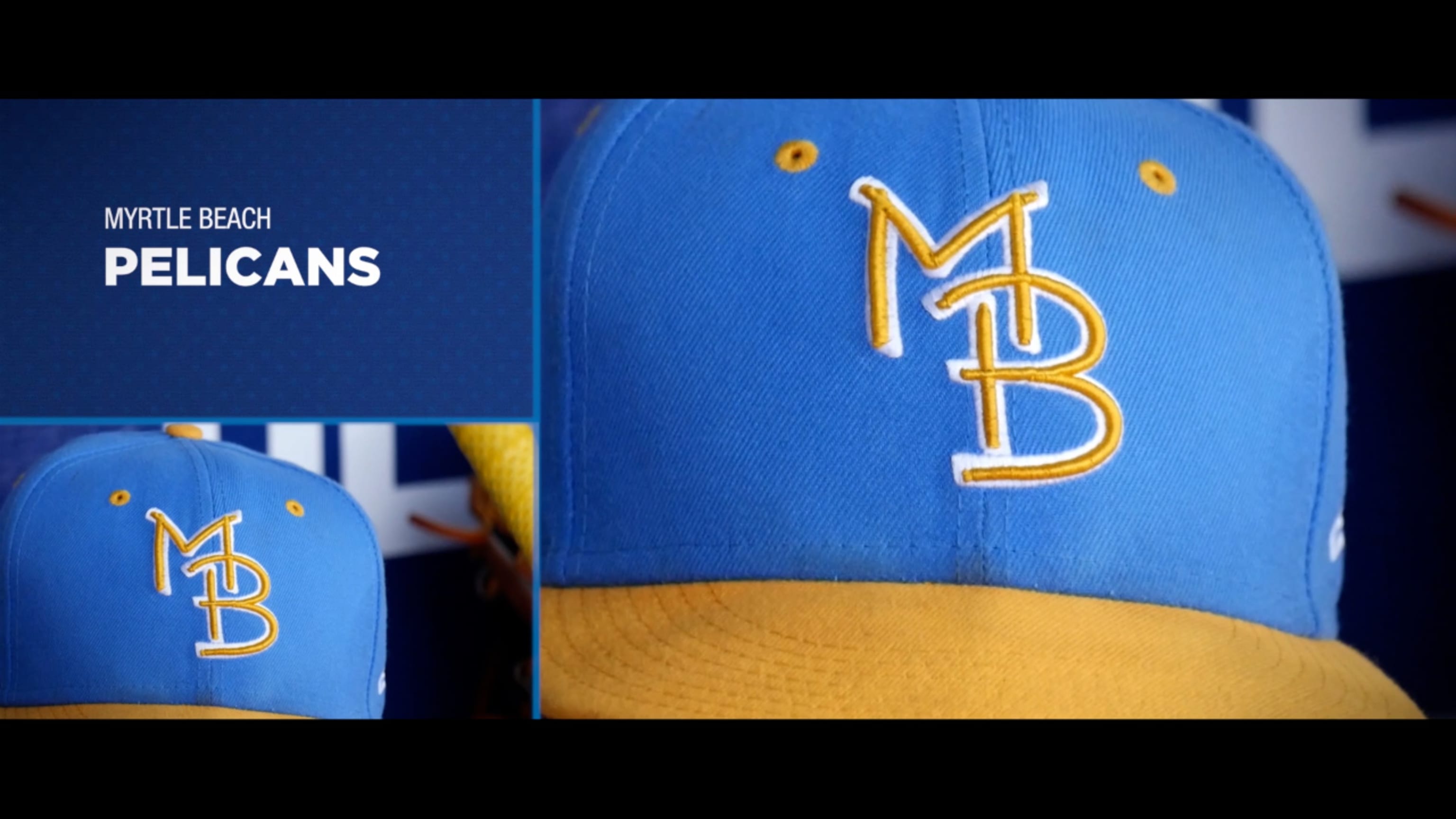 Myrtle beach hotsell pelicans hat