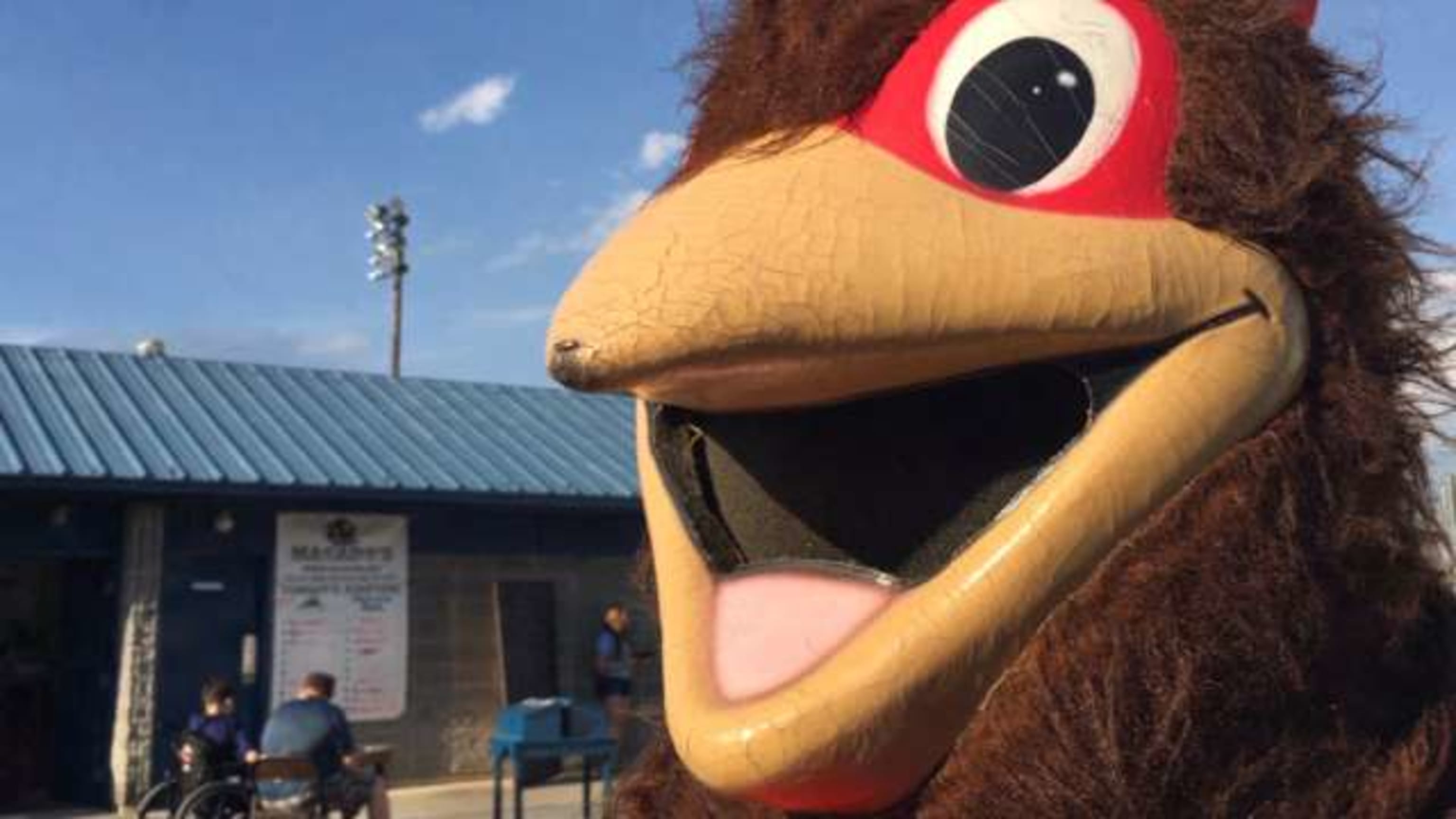 PHOTO GALLERY: Sox mascot makes surprise appearance to help open