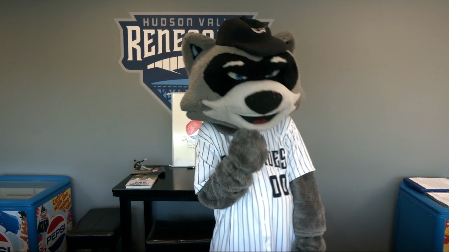 2023 Hudson Valley Renegades Rascal Rosie Mascot