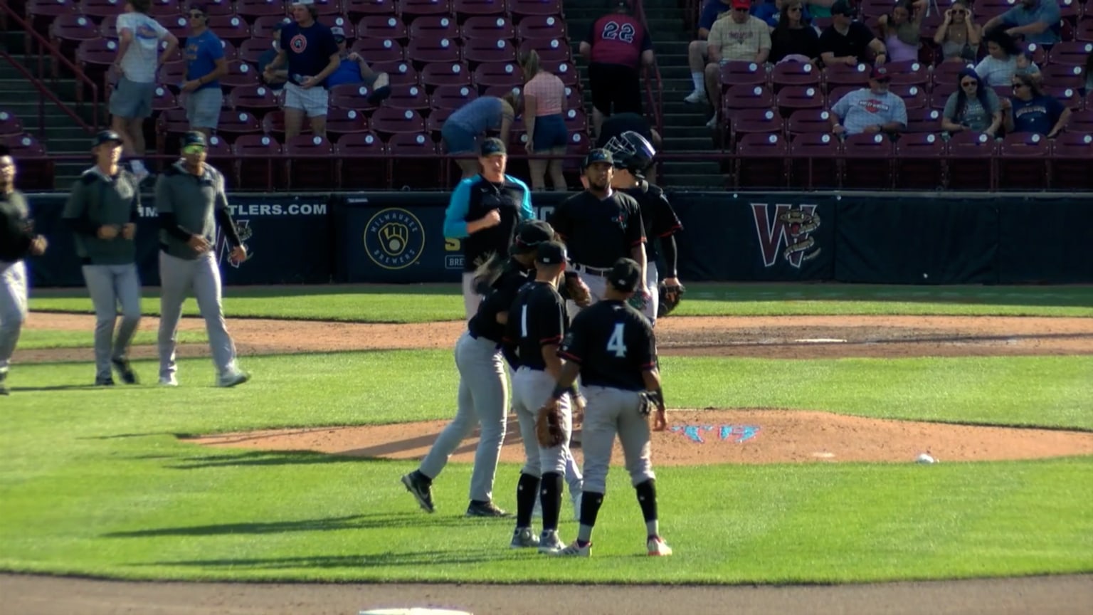 Rattlers vs Sky Carp 07/25/2022 Timber Rattlers