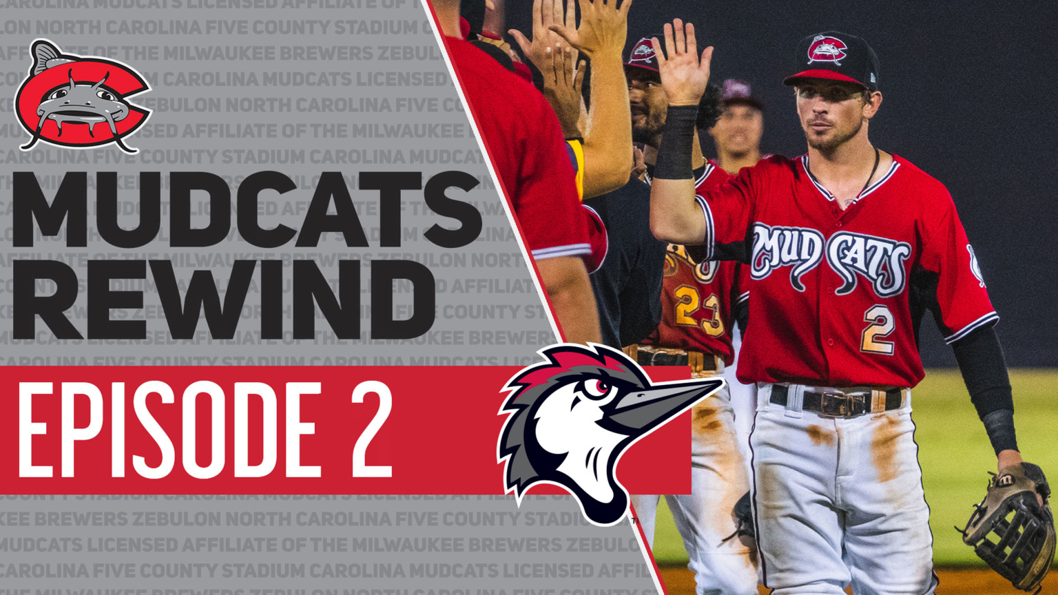 Last Monday we revealed our final - Carolina Mudcats