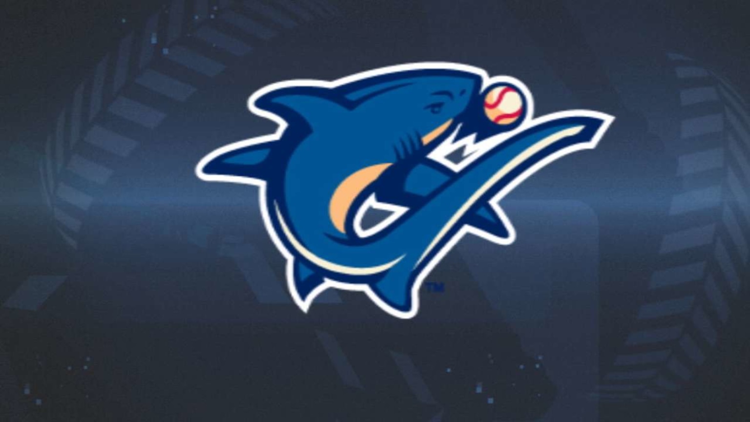 Catching Up With: Dylan Cozens | 02/28/2017 | MiLB.com