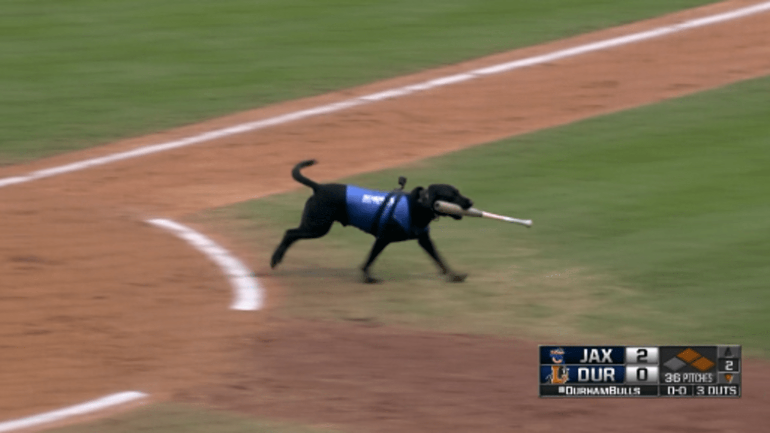 Durham Bulls Gray Ripken The Bat Dog Tee S