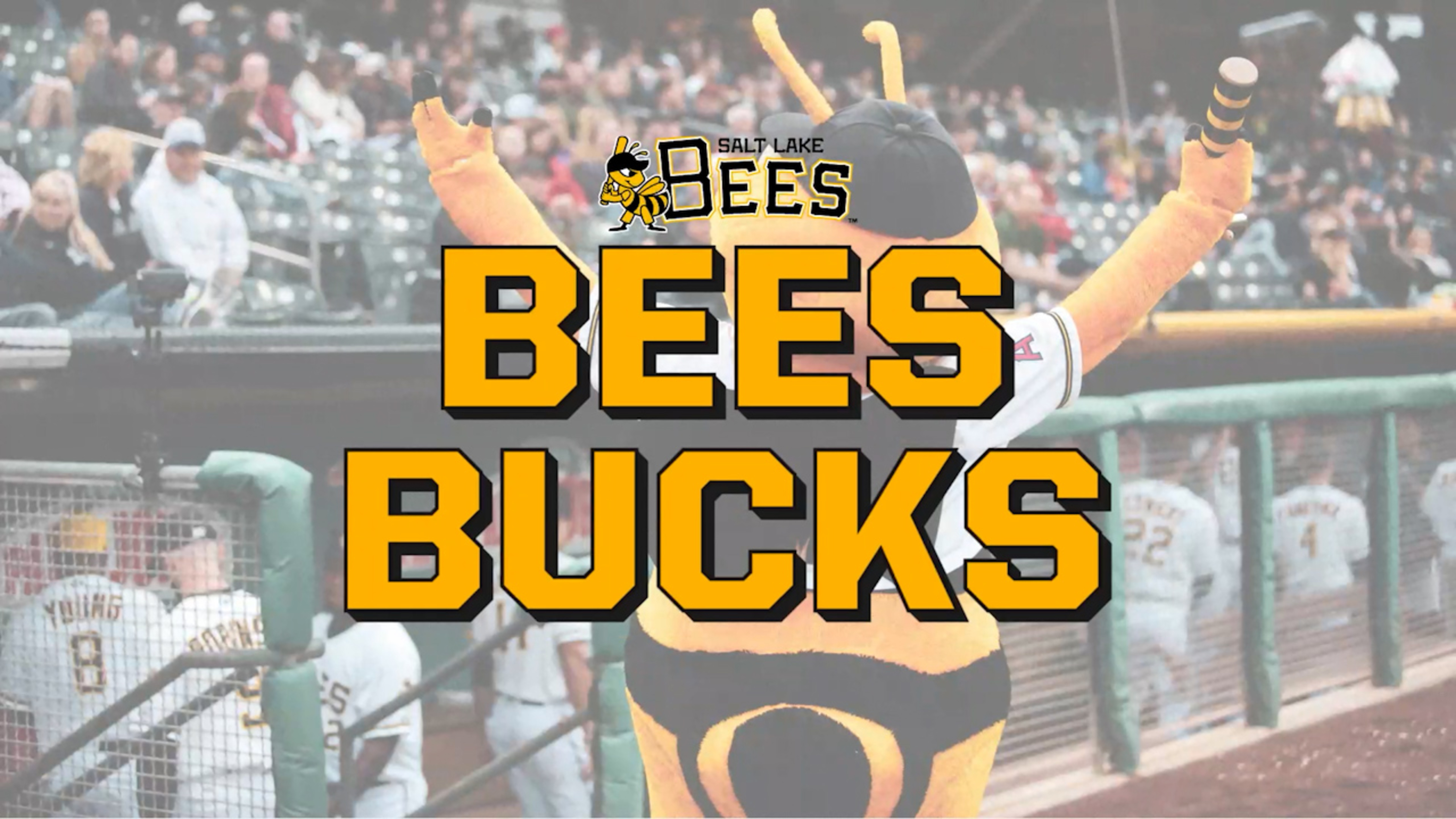 Salt Lake Bees Tickets - 2023-2024 Salt Lake Bees Games