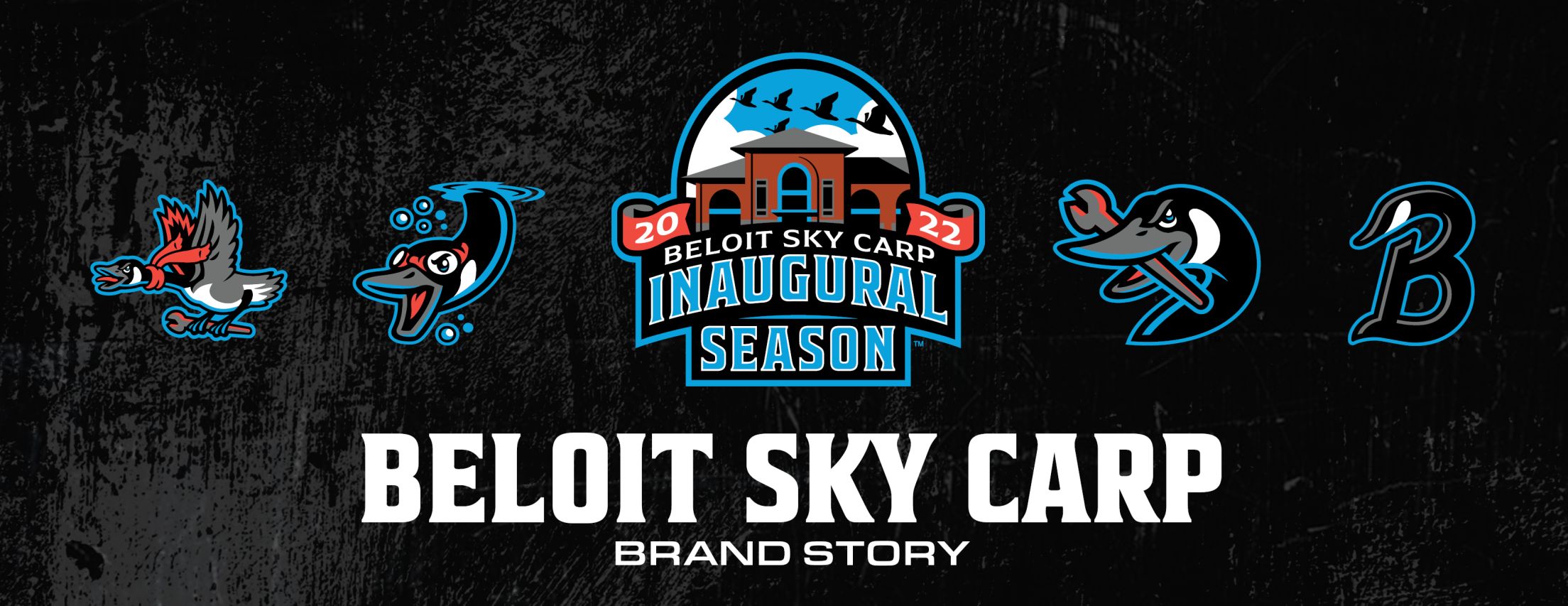 Sky Carp Brand Story Sky Carp