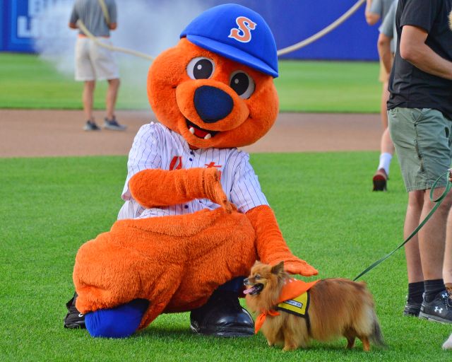 Bark in the Park Mets