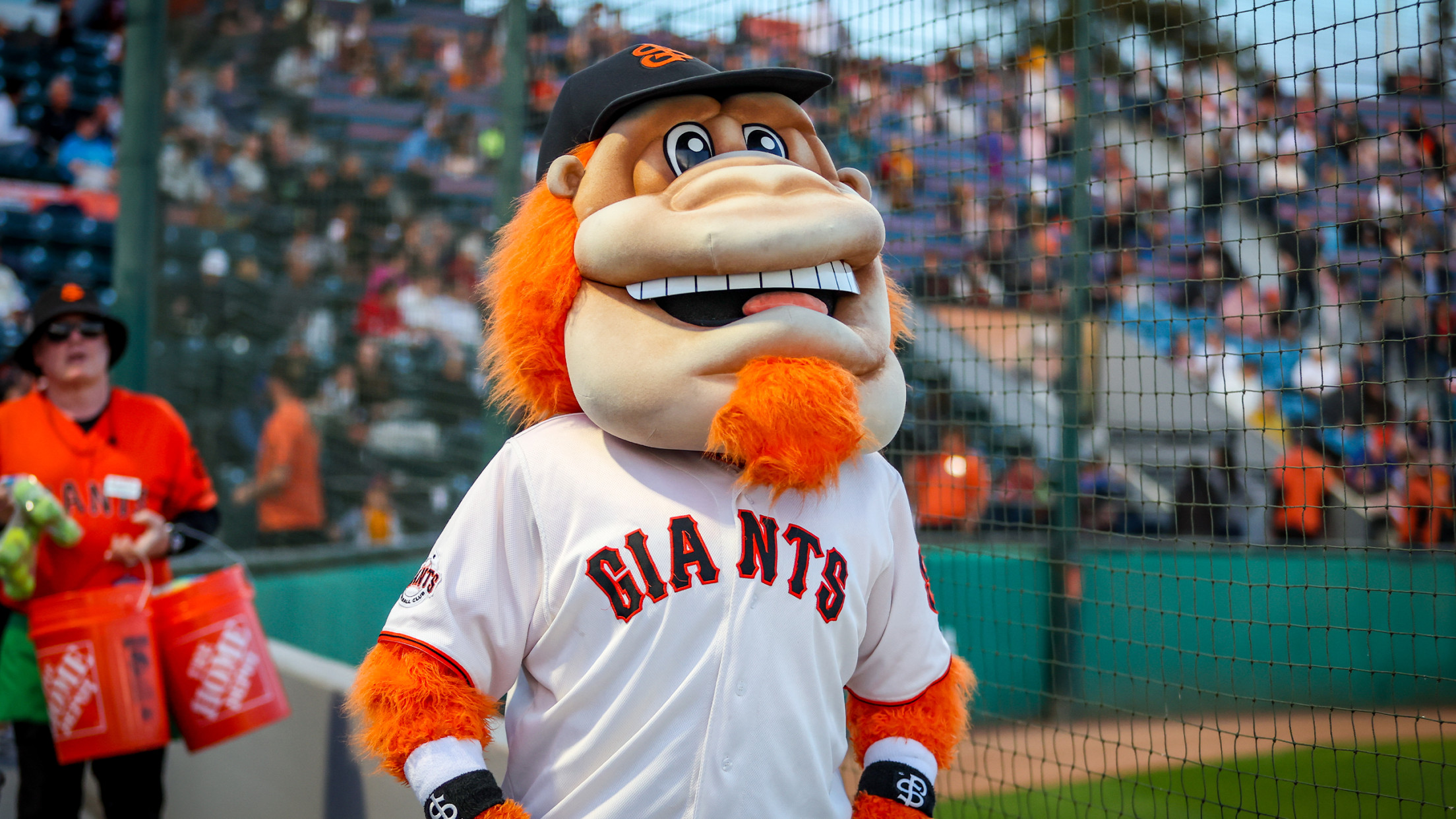 San jose giants discount
