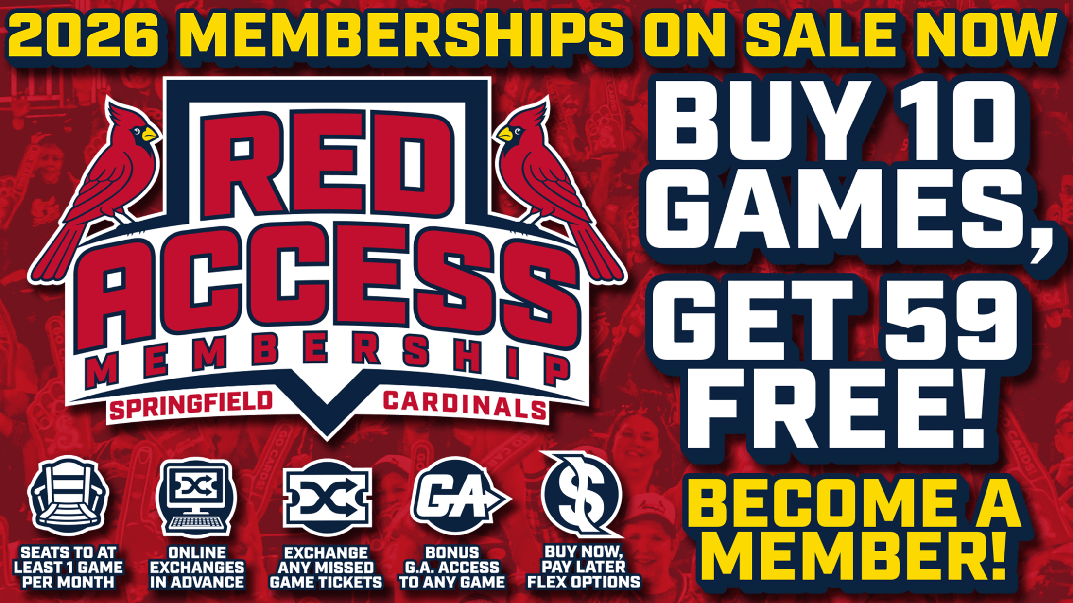 A dynamic graphic with flowing lines symbolizing the unrestrained movement of pleasure and the thrill of discovery