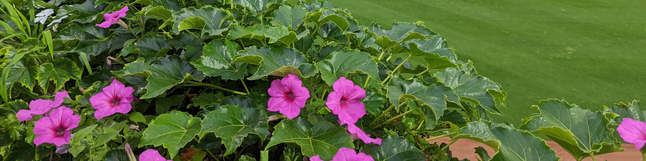 Today in Lugnuts History | Lugnuts