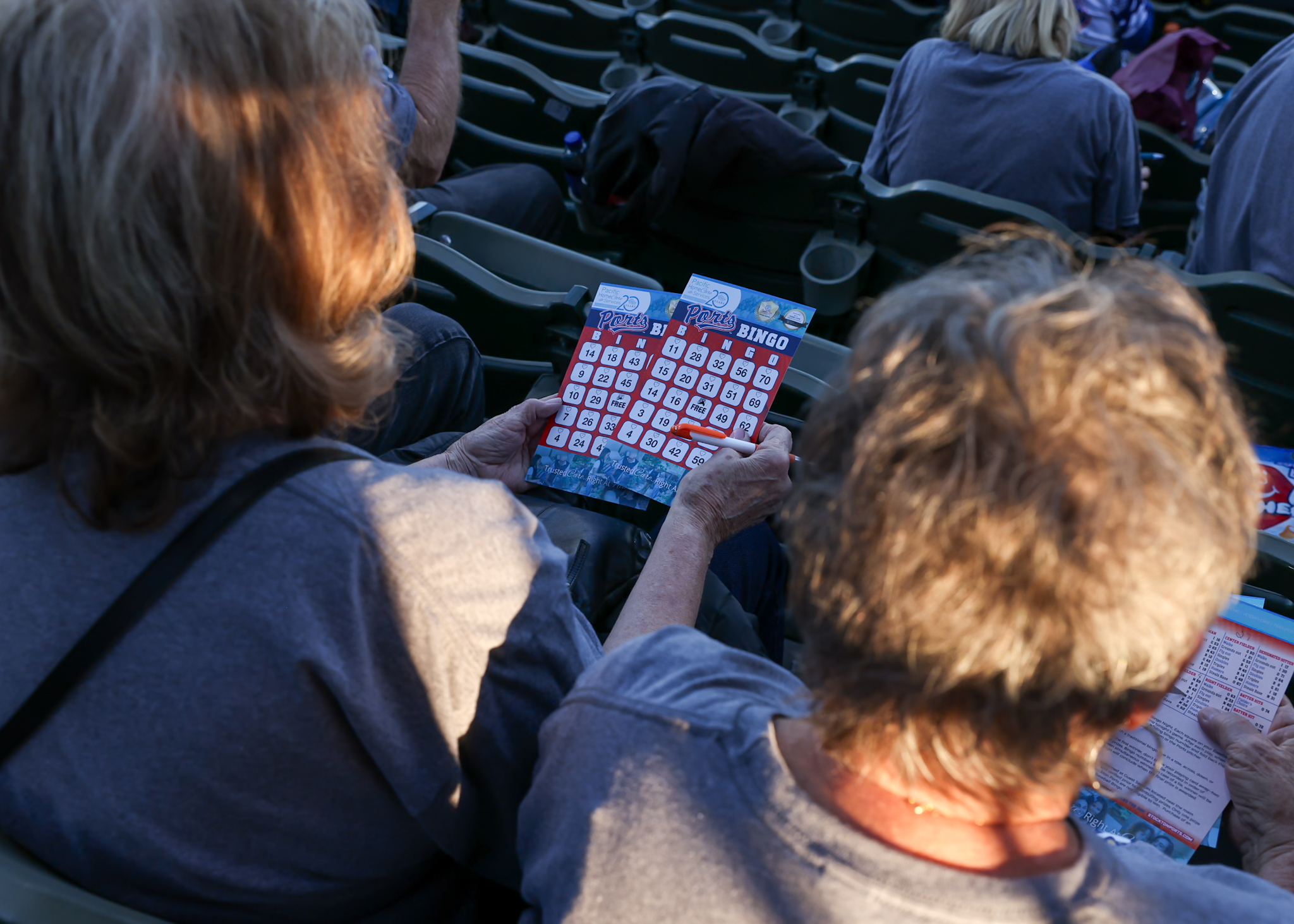 Baseball Bingo