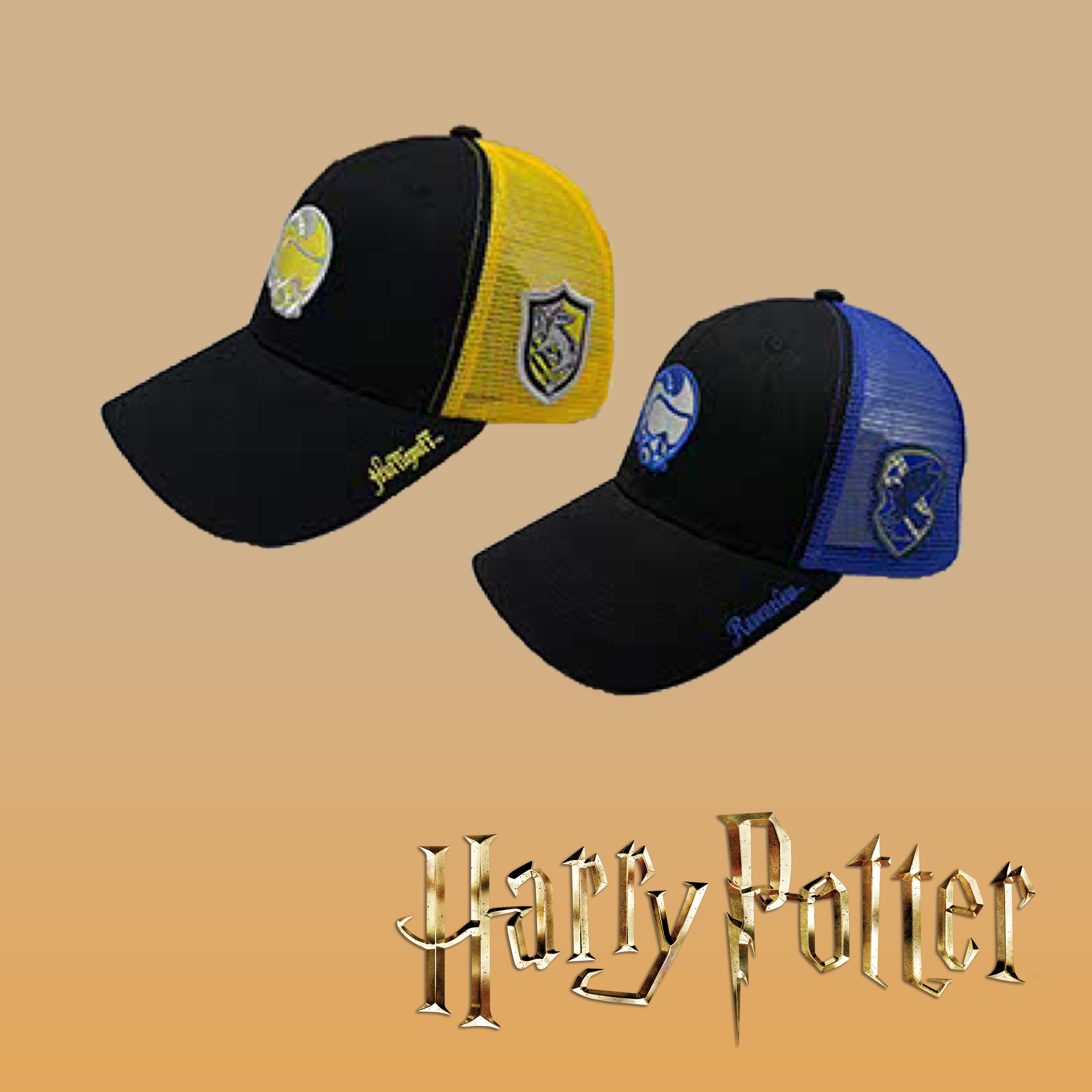 Harry Potter Four House Trucker Hat Night