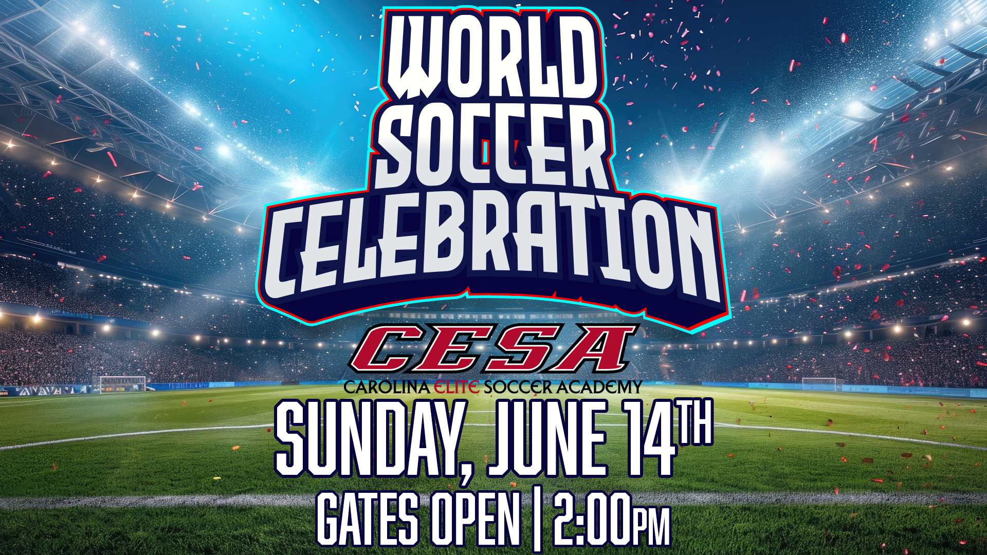 World Soccer Celebration