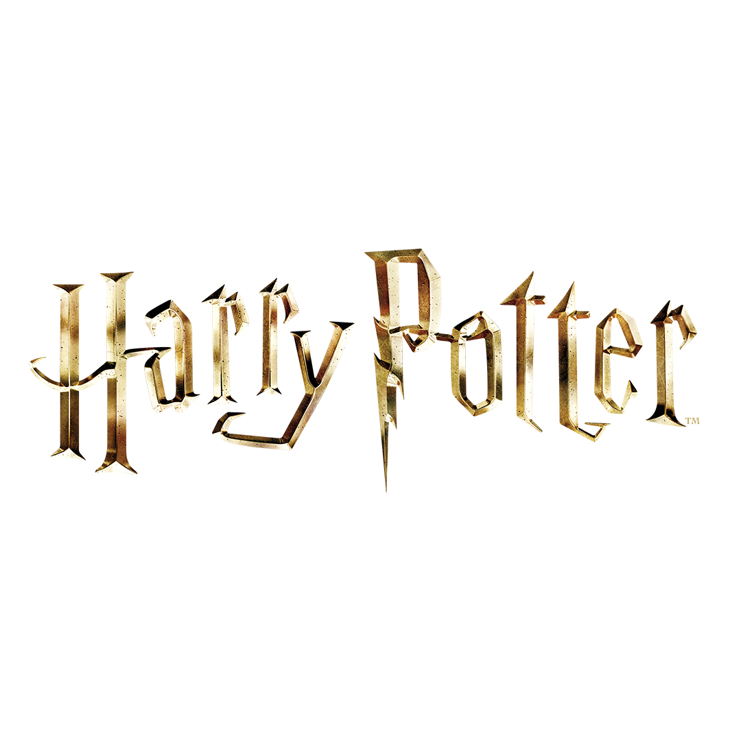 Harry Potter Night