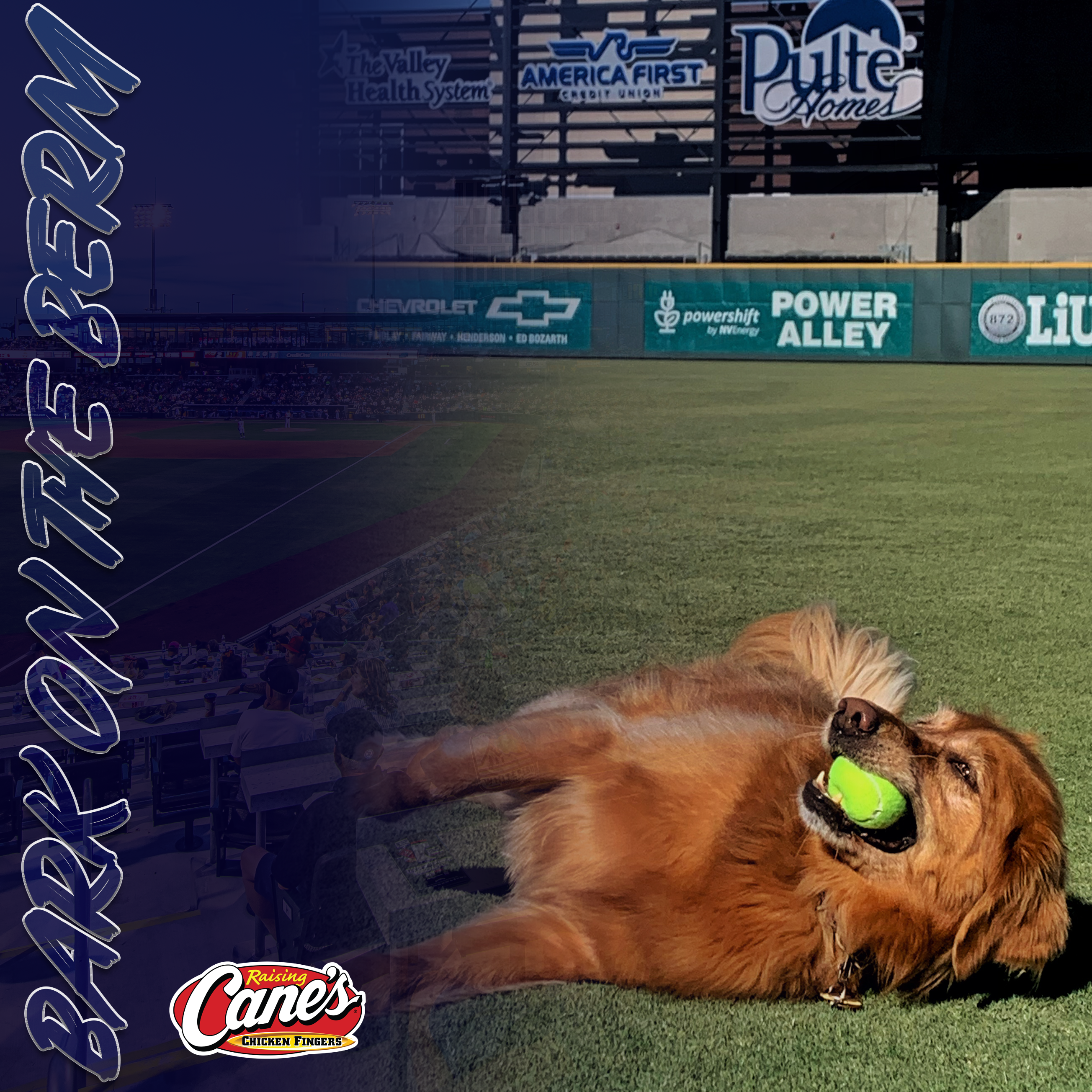 Bark on the Berm