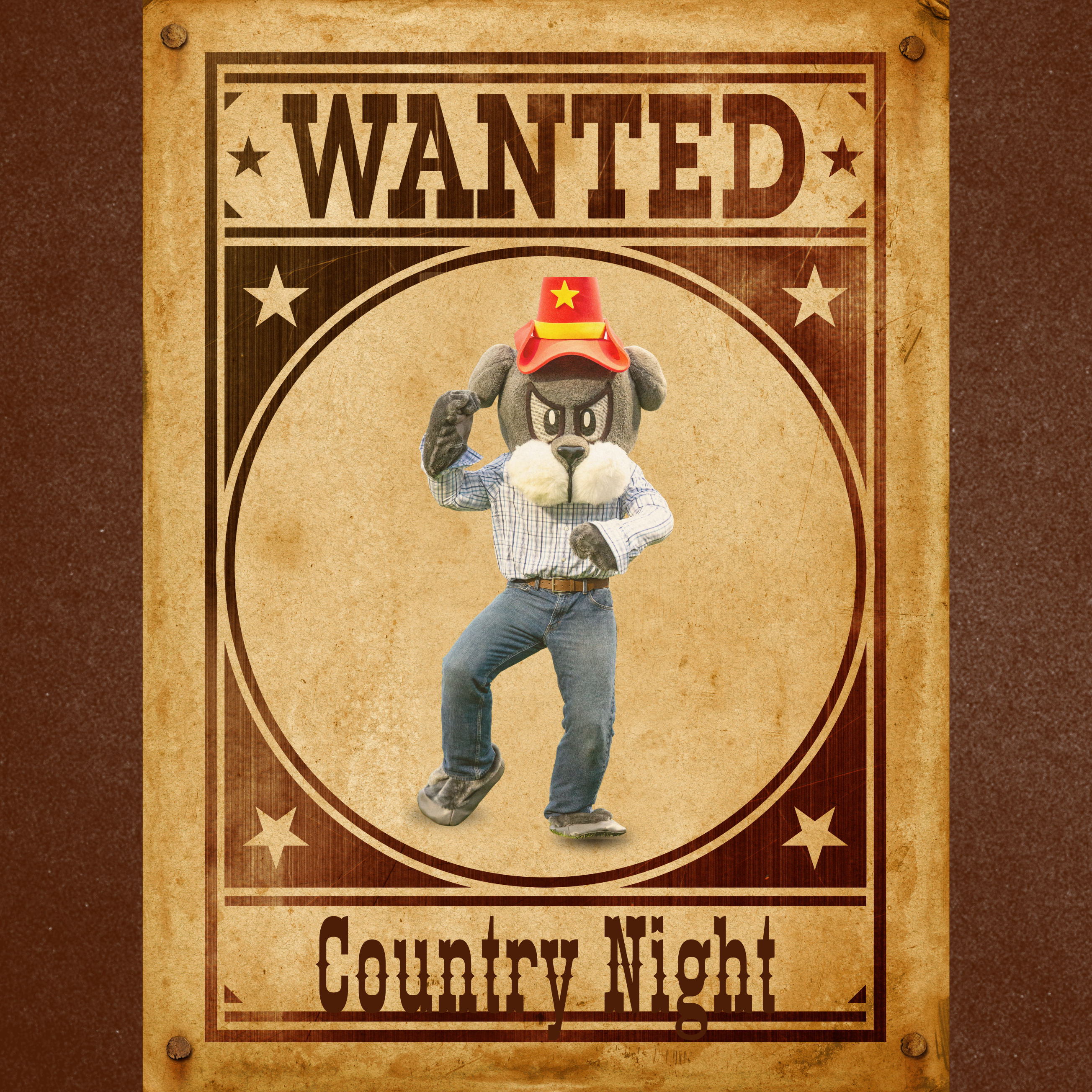 Country Night