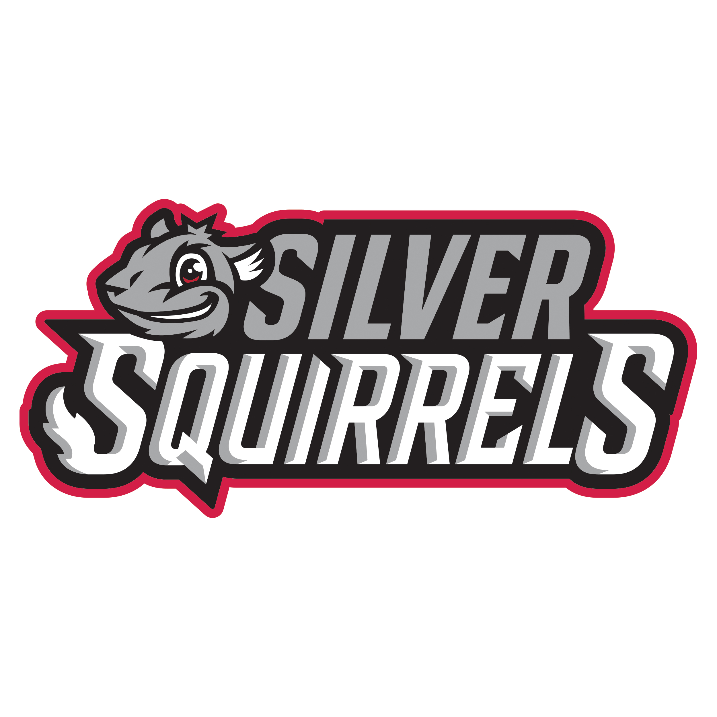 Silver Squirrels Tuesdays