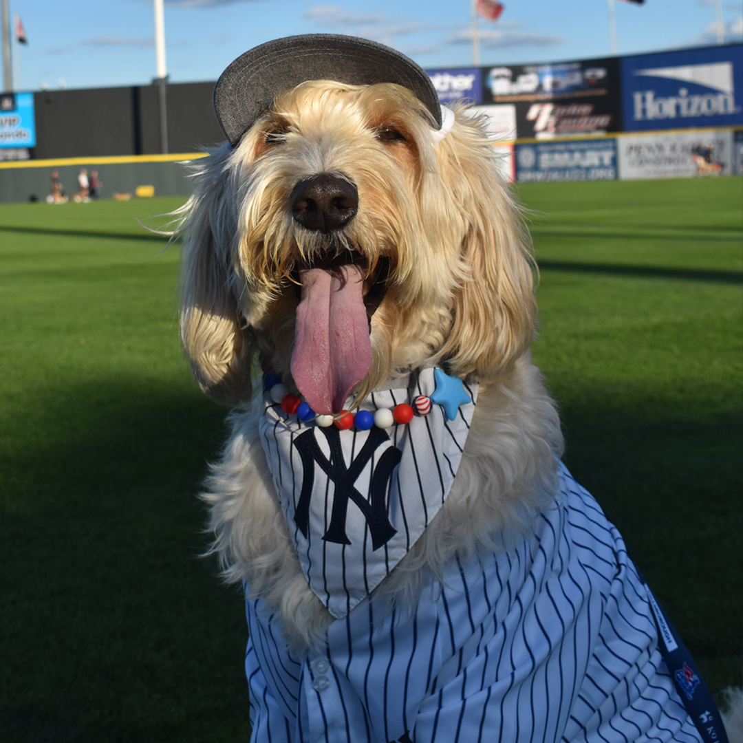 Bark In The Park/ Dog Treat Bags