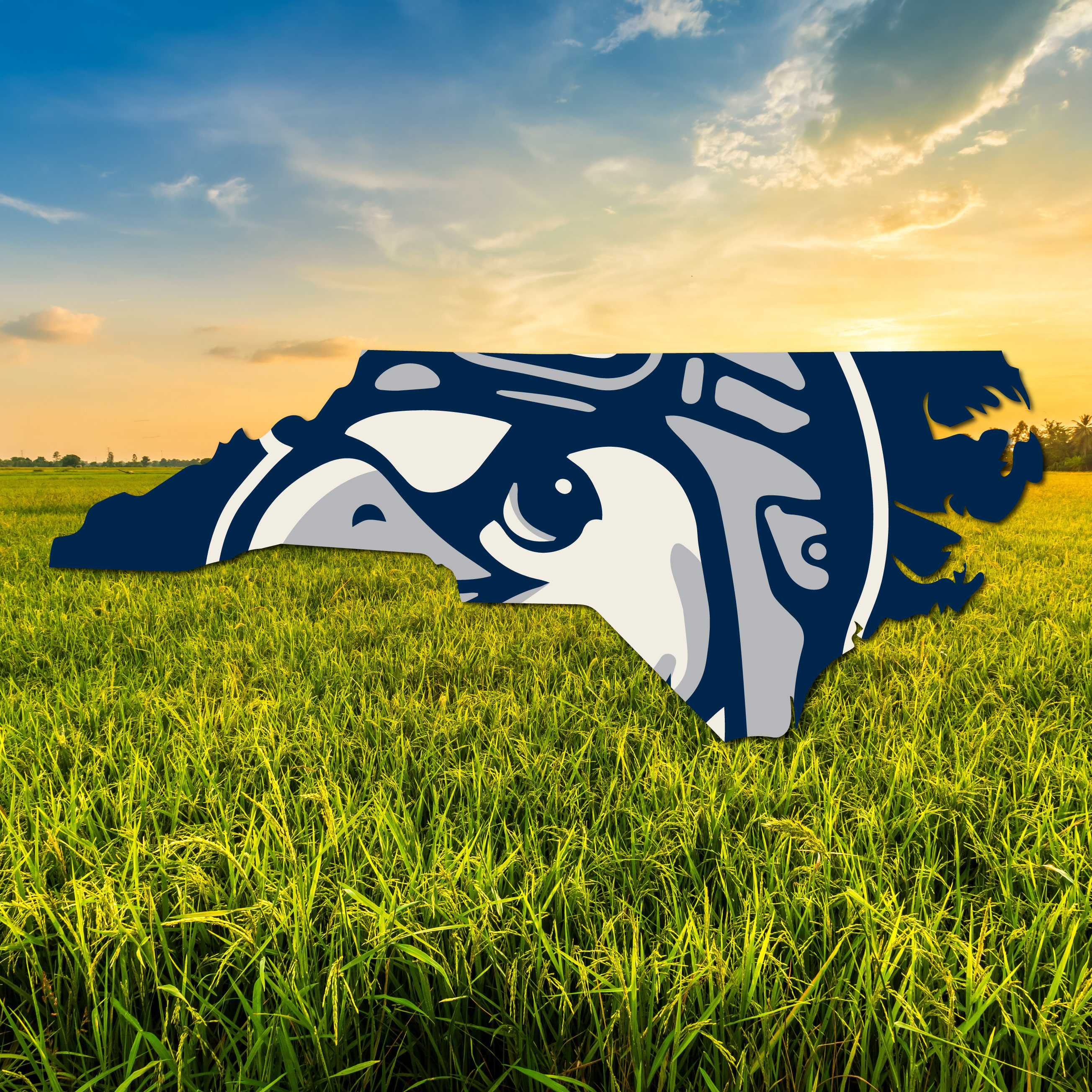 NC Homegrown Night