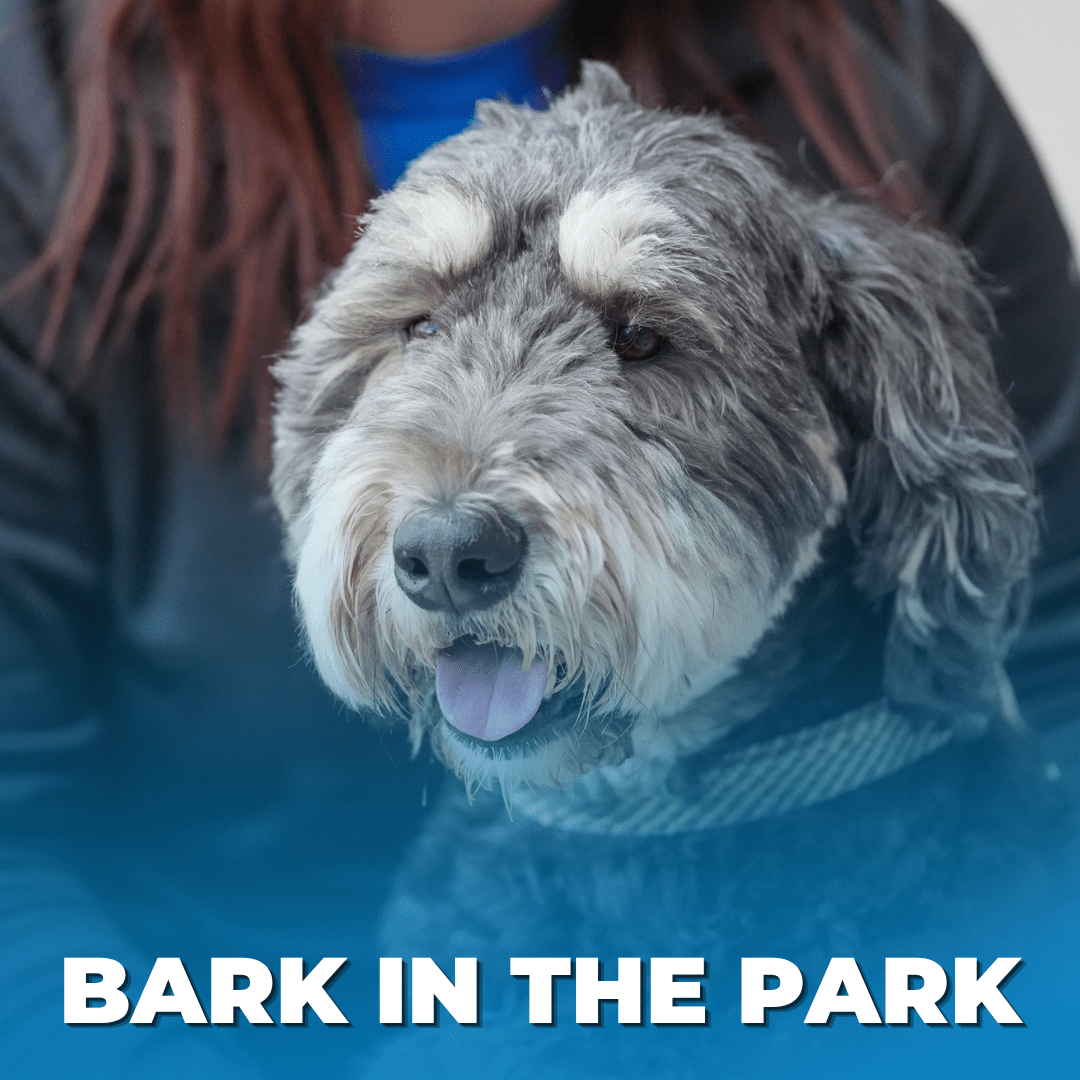 Bark In The Park