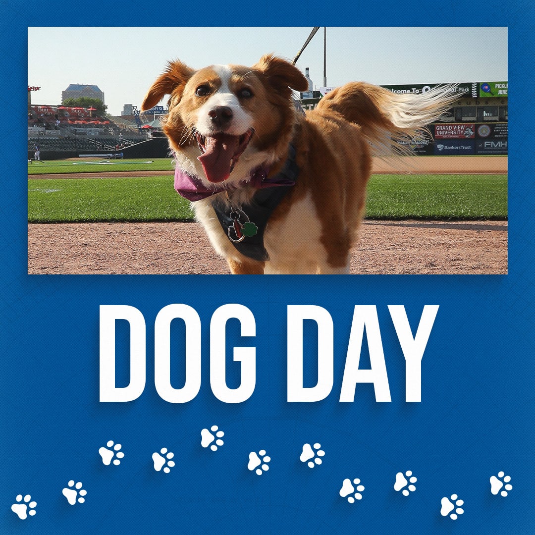 Dog Day