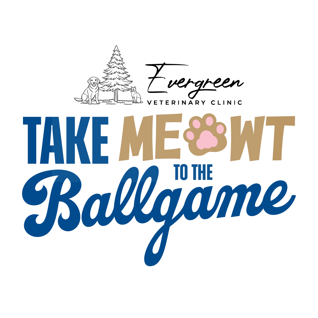 Take Meowt to the Ballgame